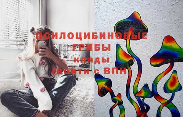 скорость Алзамай