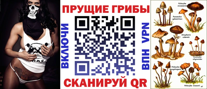 Псилоцибиновые грибы GOLDEN TEACHER Бикин